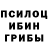 Галлюциногенные грибы мицелий barne rap