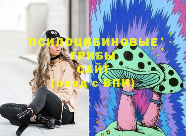 а пвп мука Верхний Тагил