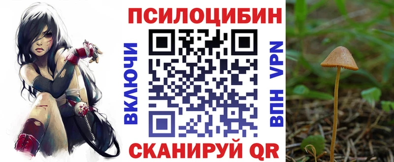 Галлюциногенные грибы Cubensis Купить где Теберда
